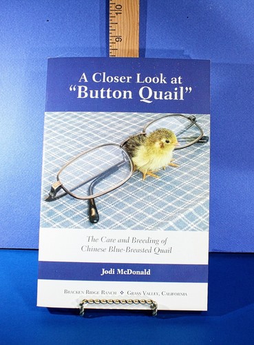 Closer look button - look, at